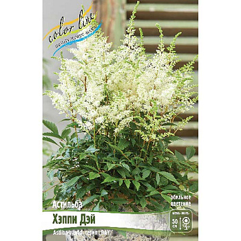 Астильба Хэппи Дэй 2/3 n 25 шт Биг-пак 13376