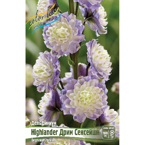 Дельфиниум Highlander Дрим Сенсейшн 3/5 n 1 шт