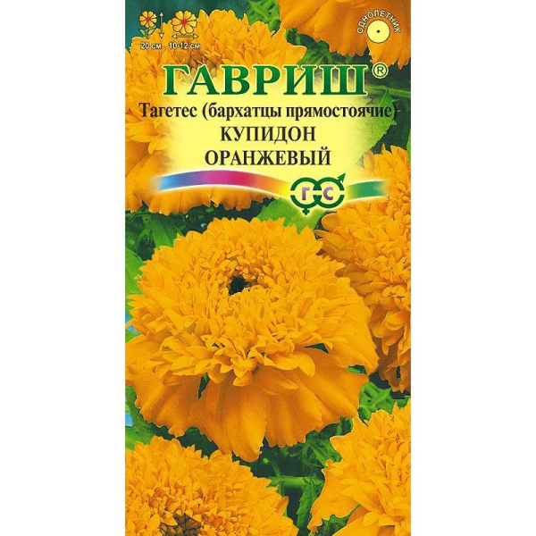Бархатцы Купидон оранжевый пр. Гавриш Ц 