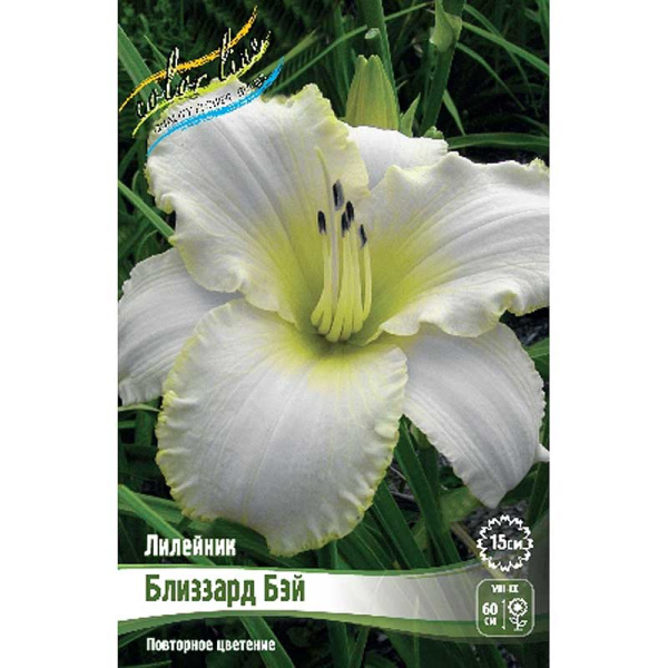 Лилейник Близзард Бэй I 25 шт Биг-пак 4549 