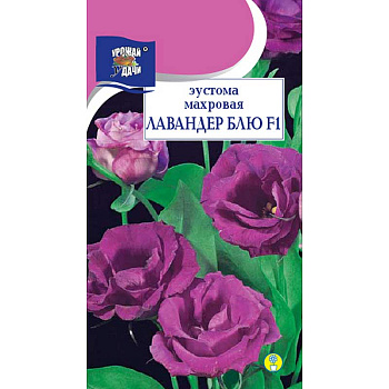 Эустома Лавандер Блю Урожай у дачи Ц 