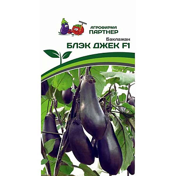 Баклажан Блэк Джек Партнер Ц