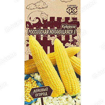 Кукуруза Российская лопающаяся Гавриш Ц