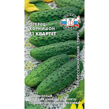 Огурец Квартет Седек Ц