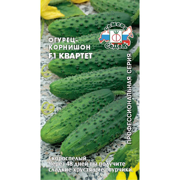 Огурец Квартет Седек Ц