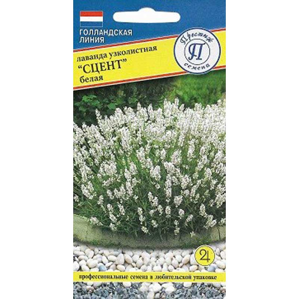 Лаванда Сцент белая Престиж Ц 
