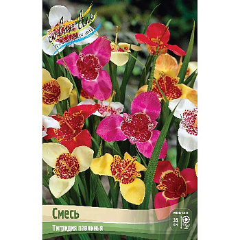 Тигридия Смесь 7/9 200 шт Шоу-бокс 9225 