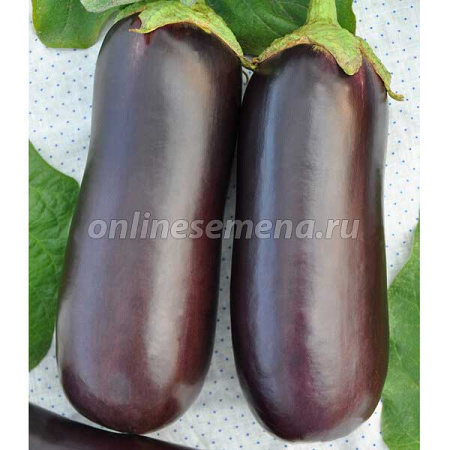 Семена Баклажан Диамант 1упаковка/100шт Поиск