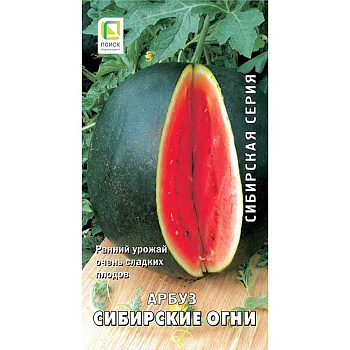 Арбуз Сибирские огни Поиск Ц