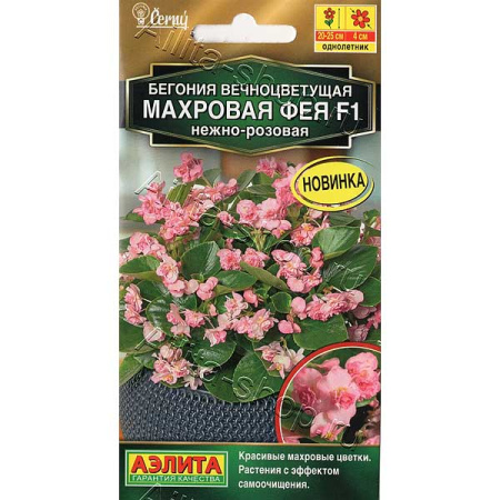 КОМ Бегония Фея нежно-розовая  Аэлита Ц 