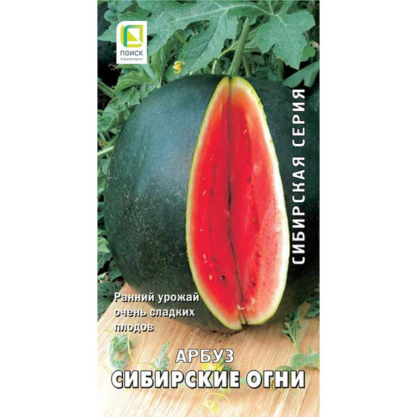 Арбуз Сибирские огни Поиск Ц