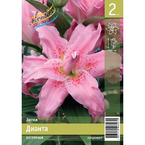 Лилия Дианта 12/14 2 Эконом шт