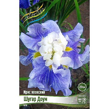 Ирис Мечевидный Шугар Доум I 25 шт Биг-Пак 5602