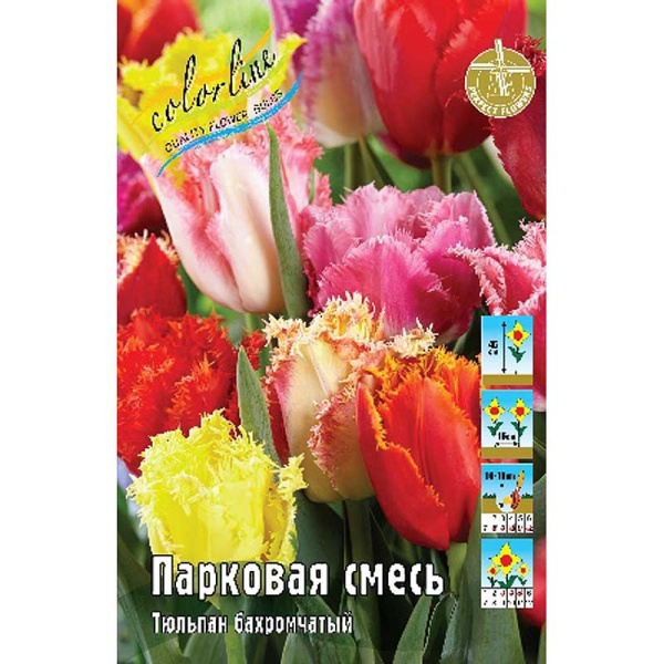 1935 Шоу-Бокс Тюльпан Бахромчатый, Парковая Смесь 11/12 75 шт