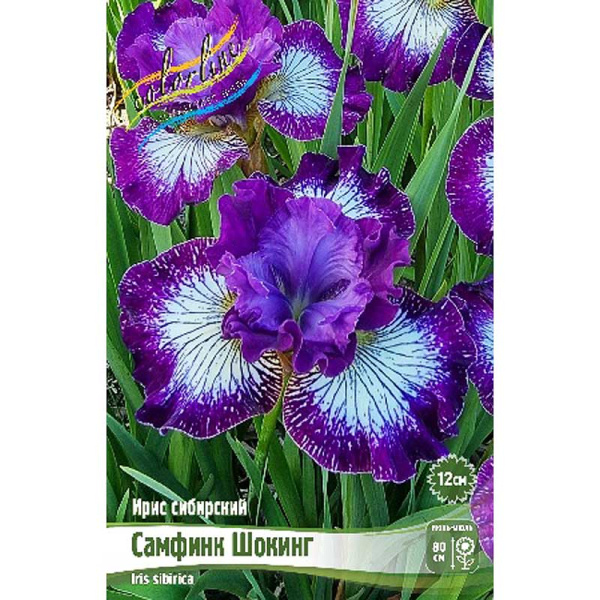 Ирис Сибирский Самфинк Шокинг I 25 шт Биг-Пак 14599 