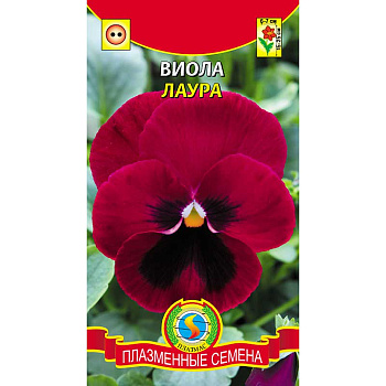 Виола Лаура Плазма Ц 