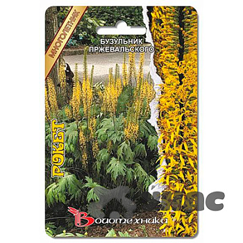 Бузульник Рокет пржевальского Биотехника Ц 