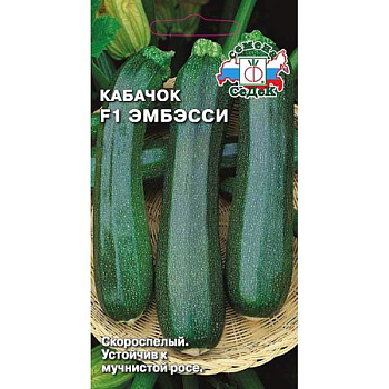 Кабачок Эмбэсси Седек Ц