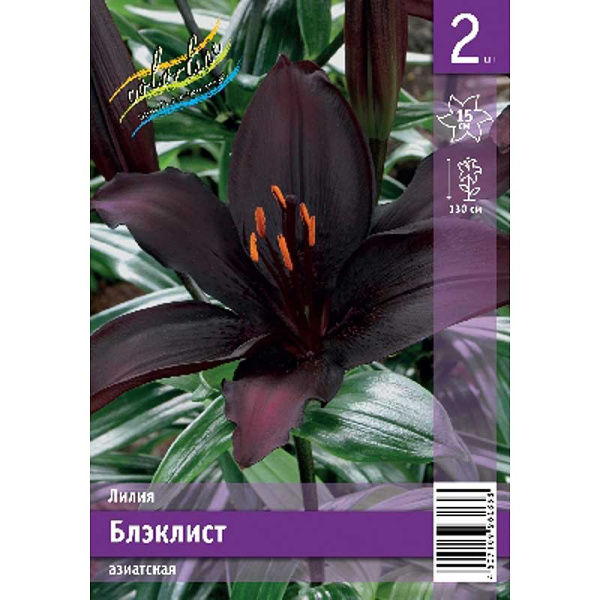 Лилия Блэклист 12/14 2 Эконом шт 