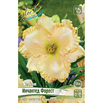 Лилейник Инчантед Форест I 1 шт 