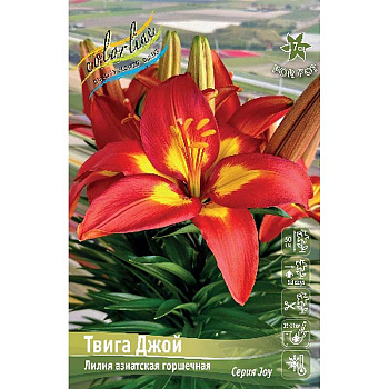 Лилия Фэншуй 10/12 7 шт 