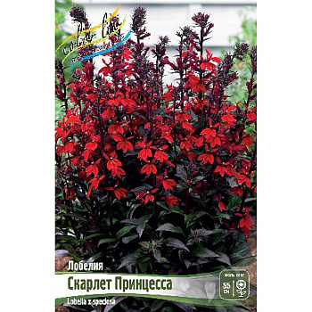 Лобелия Скарлет Принцесса I 1 шт 