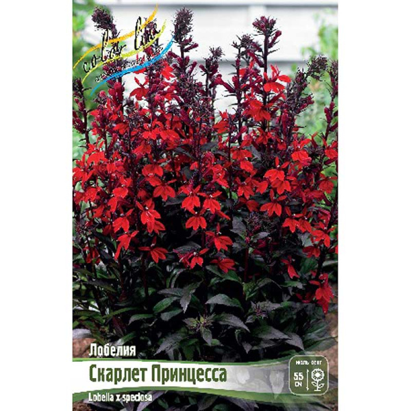 Лобелия Скарлет Принцесса I 1 шт 