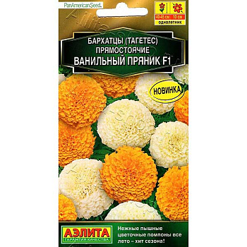 Бархатцы Ванильный пряник Аэлита Ц 