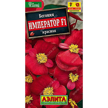 КОМ Бегония Император красная Аэлита Ц 