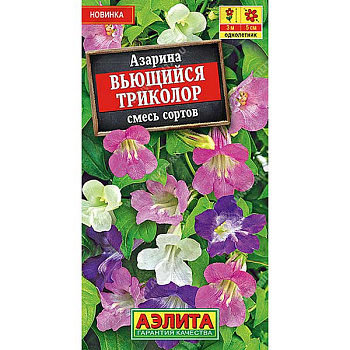 Азарина Вьющийся триколор Аэлита Ц 