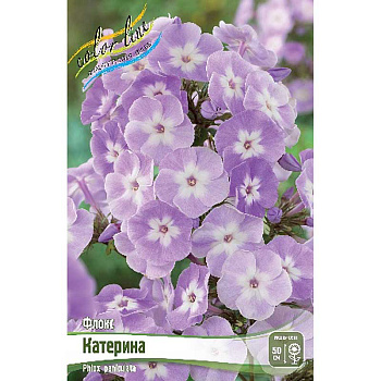 Флокс Катерина I 2 шт