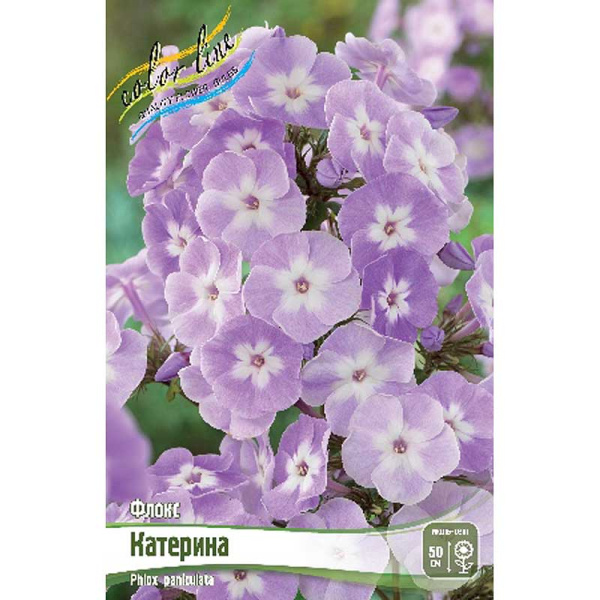 Флокс Катерина I 2 шт