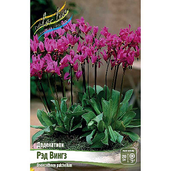 Додекатион Рэд Вингз I 25 шт Биг-Пак 4752