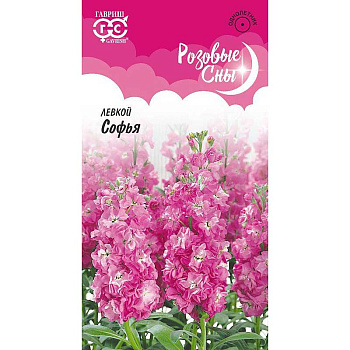 Левкой Софья Гавриш Ц 