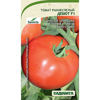 Томат Дебют F1 5шт Seminis/Садовита Ц