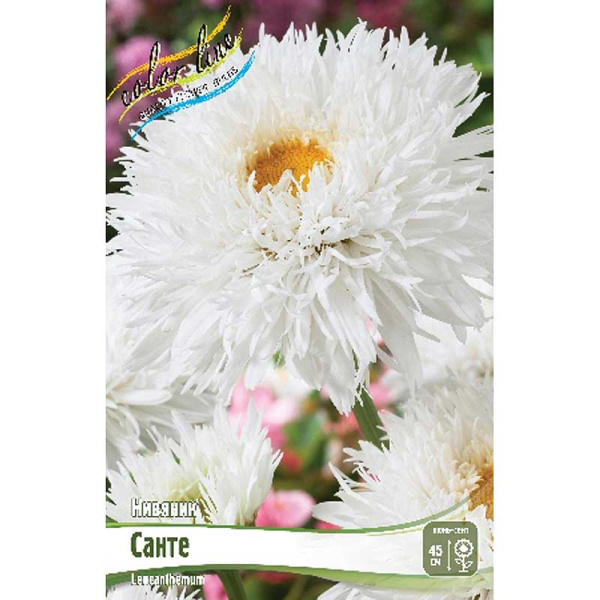 13479 Биг-Пак Нивяник Санте I 25 шт 