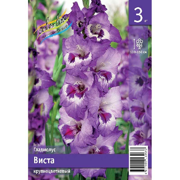 Гладиолус Виста 10/12 3 Эконом шт 