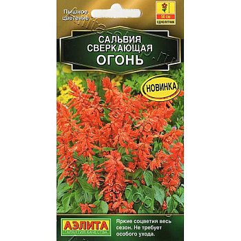 Сальвия Огонь Аэлита Ц 