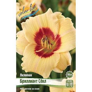 Лилейник Бриллиант Сёкл I 1 шт 