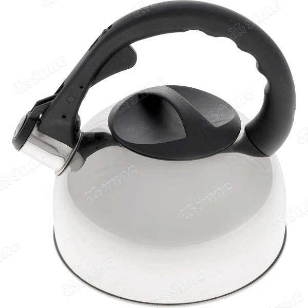 Чайник Добрыня DO-2908 2,5л  х12