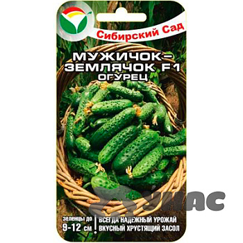 Огурец Мужичок-землячок СибСад Ц