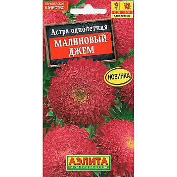 Астра Малиновый джем Аэлита Ц 