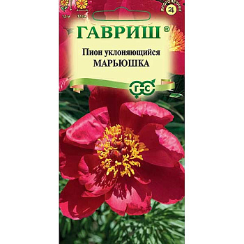 Пион Марьюшка Гавриш Цх10 
