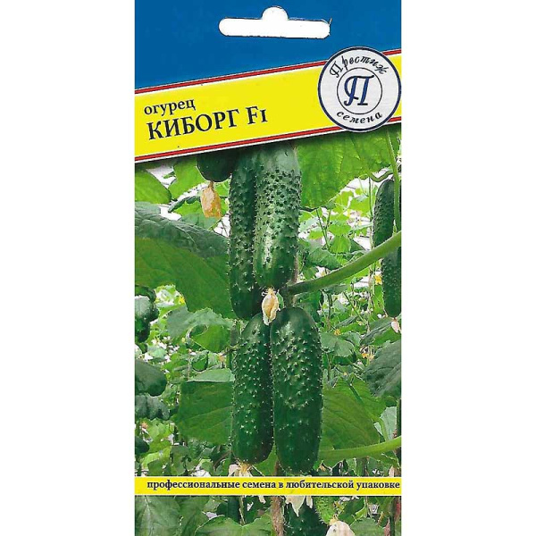 Огурец Киборг Престиж Ц