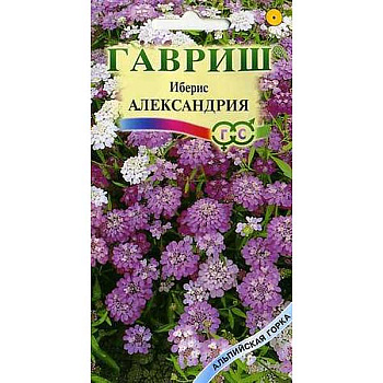 Иберис  Александрия  Гавриш Ц 