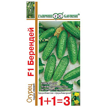 Огурец Берендей 1+1 Гавриш Ц