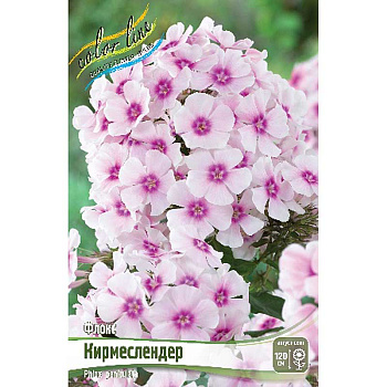 Флокс Кирмеслендер I 2 шт