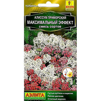 Алиссум Максимальный эффект Аэлита Ц 