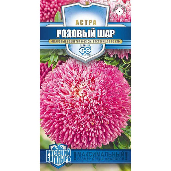 Астра Розовый шар Гавриш Ц 