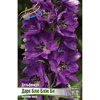 Дельфиниум Дарк Блю Блэк Би 3/5 n 1 шт 